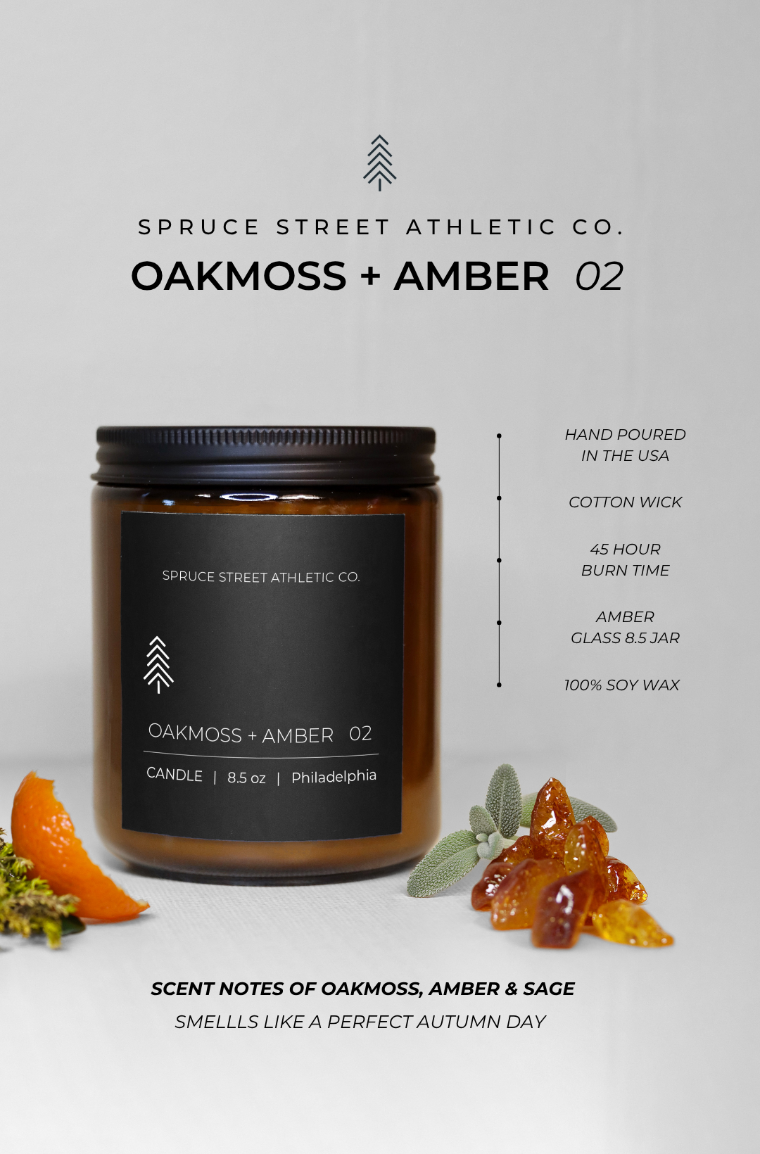 Spruce Street Candle: Oakmoss &amp; Amber